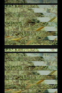 DIGITAL MATERIAL