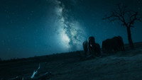Обои к сериалу «История Вселенной (2022)» — (49 из 69)