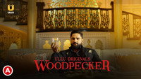 «Woodpecker (2020)» — обои к сериалу #1