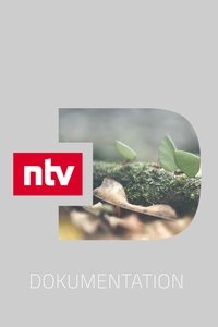Poster de ntv Dokumentation