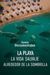 poster_La playa, la vida salvaje alrededor de la sombrilla