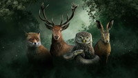 «Onze Natuur (2022)» — обои к фильму #1