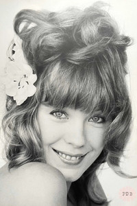 Pamela Des Barres