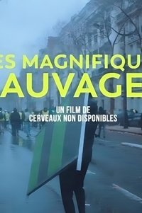 movie-images