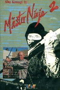 Poster de Master Ninja II