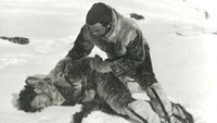 «Nordhavets mænd (1939)» — обои к фильму #3