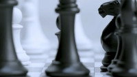 «Blacks or Whites (2019)» — обои к фильму #1
