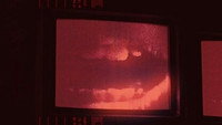 Archive 81
