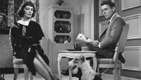 «Тонкий человек (1957-1959)» — обои к сериалу #1