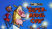 Supermodel Cow