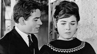 «Fevgo me pikra sta xena (1964)» — обои к фильму #2
