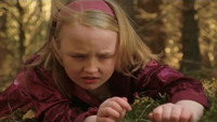 «The Faeries of Blackheath Woods (2006)» — обои к фильму #1