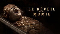 Le Réveil de la Momie