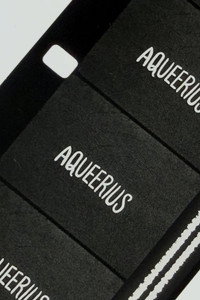 Aqueerius