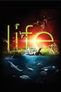 Постер сериала «BBC: Жизнь (2009)» — (4 из 24)