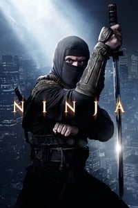 Download Ninja 2: Shadow of a Tear (2013) Dual Audio {Hindi-English} BluRay 480p [300MB] || 720p [850MB]