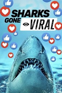 Sharks Gone Viral Poster