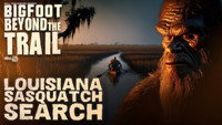 Louisiana Sasquatch Search