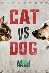 tv show poster Cat+vs.+Dog 2017
