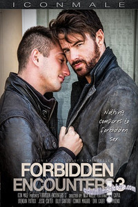 Постер фильма «Forbidden Encounters 3 (2015)» — (2 из 2)