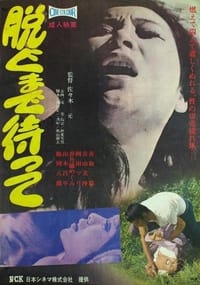 脱ぐまで待って (1971)