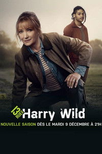 Affiche de la recommandation : Harry Wild