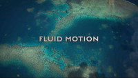 Fluid Motion