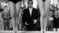«Le bellissime gambe di Sabrina (1958)» — обои к фильму #1