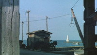 «Плавучие травы (1959)» — обои к фильму #4
