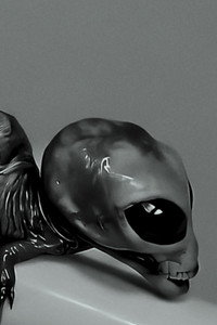Small talk about the Reptilian