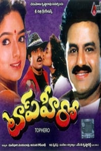 టాప్ హీరో (1994)