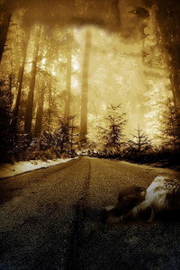 movie-images