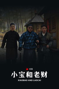 Poster de 郭小宝和周老财