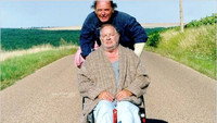 «Мишка (2002)» — обои к фильму #1