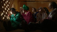«Volubilis (2017)» — обои к фильму #1