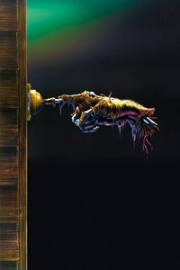 movie-images