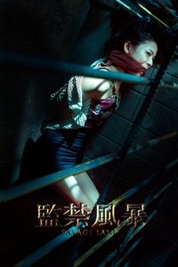 监禁风暴 (2016)