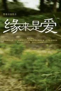 缘来是爱 (2009)