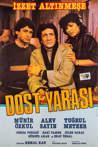 Poster de Dost Yarası
