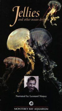 Постер фильма «Jellies & Other Ocean Drifters (1996)» — (2 из 2)