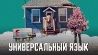 Обои к фильму «Универсальный язык (2024)» — (31 из 51)