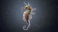 The Seahorse Trainer