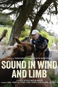 Imagem do Filme Sound in Wind and Limb