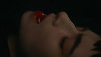 Vampire Humaniste Cherche Suicidaire Consentant