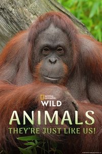 Animals, They're Just Like Us! - Season 1