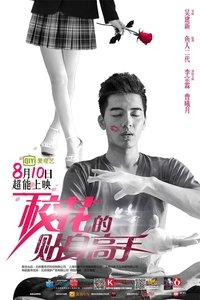 校花的貼身高手 (2016)