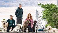 Обои к сериалу «Nord bei Nordwest (2014)» — (12 из 13)