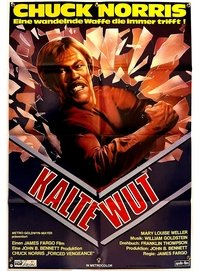 Movieposter Kalte Wut