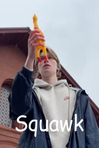 Squawk (2026) poster