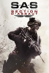 S.A.S. : Section d’Assaut (2014)